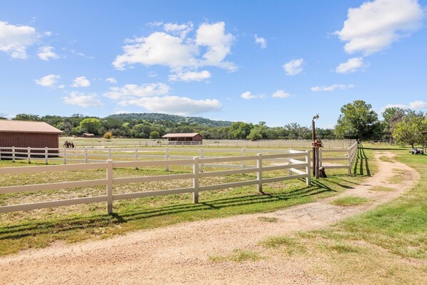 A fenced outdoor area with a dirt path, a barn, and a clear sky.