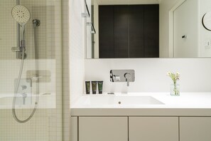 Douche, séchoir à cheveux, serviettes fournies