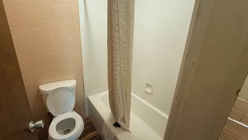 A bathroom with a toilet, a bathtub, and a shower curtain.