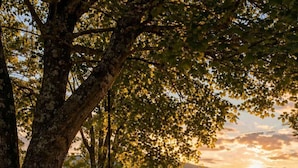 A tree with a swing, a gravel area, and a house in the background. - Creekside Retreat • Fire Pit | Patio | Arcade (Old Fort)