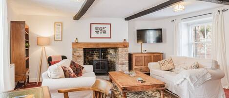 TV connectée, cheminée, livres