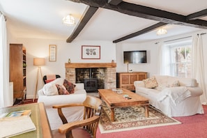 Smart TV, fireplace, books