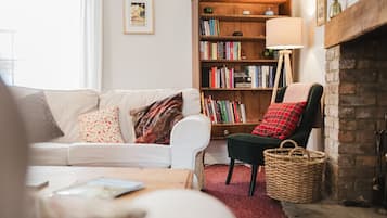 Smart TV, fireplace, books