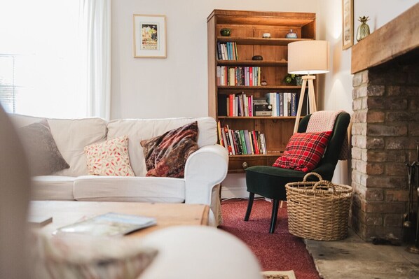 Smart TV, fireplace, books