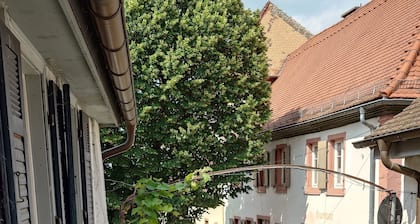 Historic farmhouse in the village center. Family-friendly. Pet friendly!