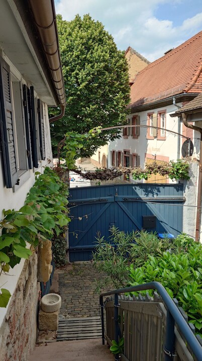 Historic farmhouse in the village center. Family-friendly. Pet friendly!