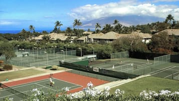 Ein Tennisplatzkomplex mit mehreren Plätzen, umgeben von Grünflächen und Wohnhäusern.