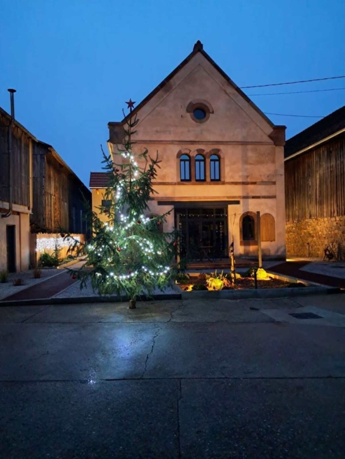 Imagen de perfil del propietario o de la propietaria