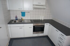 Oven, stovetop, dishwasher