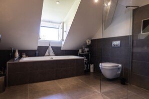 Shower, hair dryer, soap, toilet paper