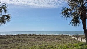 A beach view with a sandy area, a wooden fence, and a palm tree.