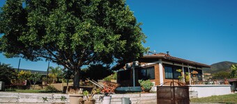 Merlot Cabin With Panoramic Vineyard View in Quinta Sofia Valle de Guadalupe
