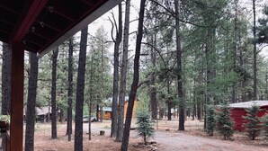 Un área boscosa con un sendero de grava, construcciones de madera y un pequeño edificio rojo.