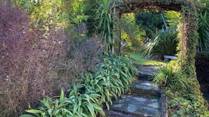 Een pad van stenen loopt door een weelderige tuin met diverse planten en een houten pergola.