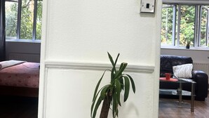 Una habitación con un cuadro enmarcado de un gin tonic en la pared, una planta en maceta sobre una mesita, un sofá y una ventana con vistas a árboles.
