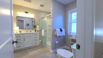 A modern bathroom with a walk-in shower, a toilet, and a sink with a mirror above it.