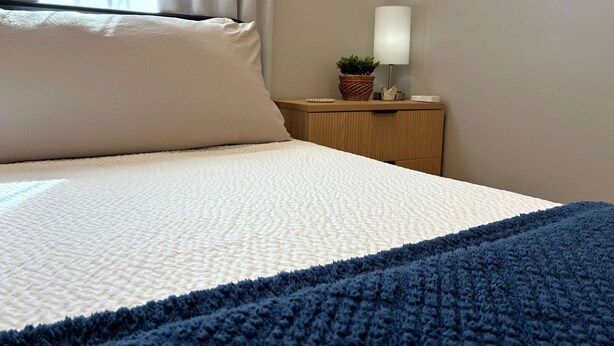 A neatly made bed with a textured white cover and a blue blanket, a bedside lamp, and a small potted plant on a wooden nightstand.