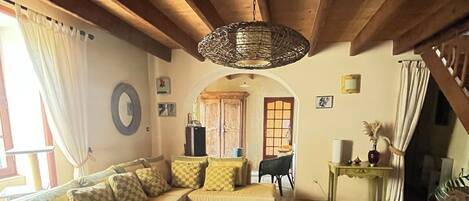 Télévision, cheminée, livres, médiathèque