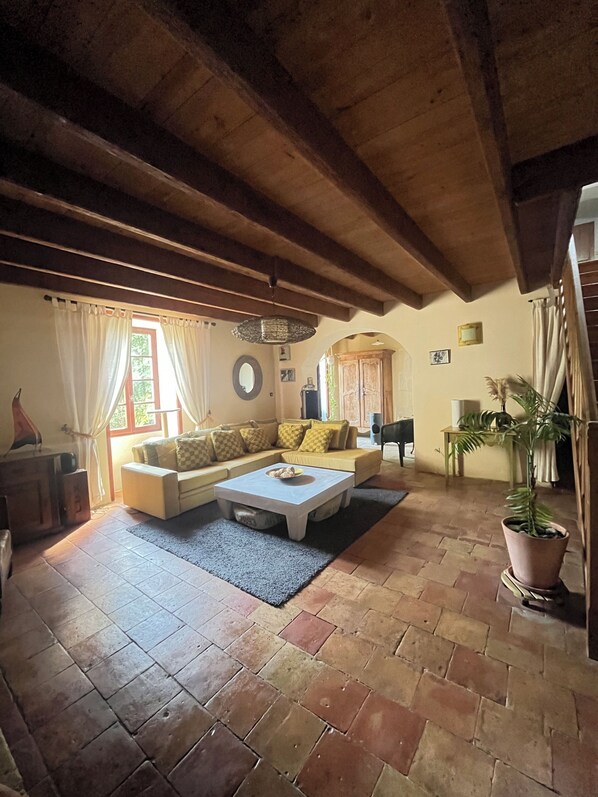 TV, fireplace, books, music library