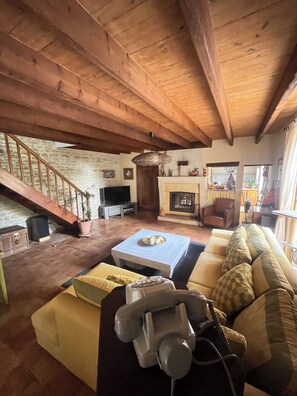 TV, fireplace, books, music library