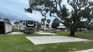 Un camping con vehículos recreativos, una zona de picnic cubierta y un árbol grande.