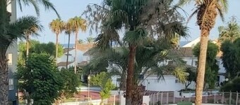 APARTAMENTO DE VACACIONES JUNTO AL MAR