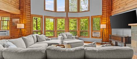 Télévision, cheminée, jeux vidéo