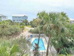 A pool surrounded by a white fence, palm trees, and houses in the background.