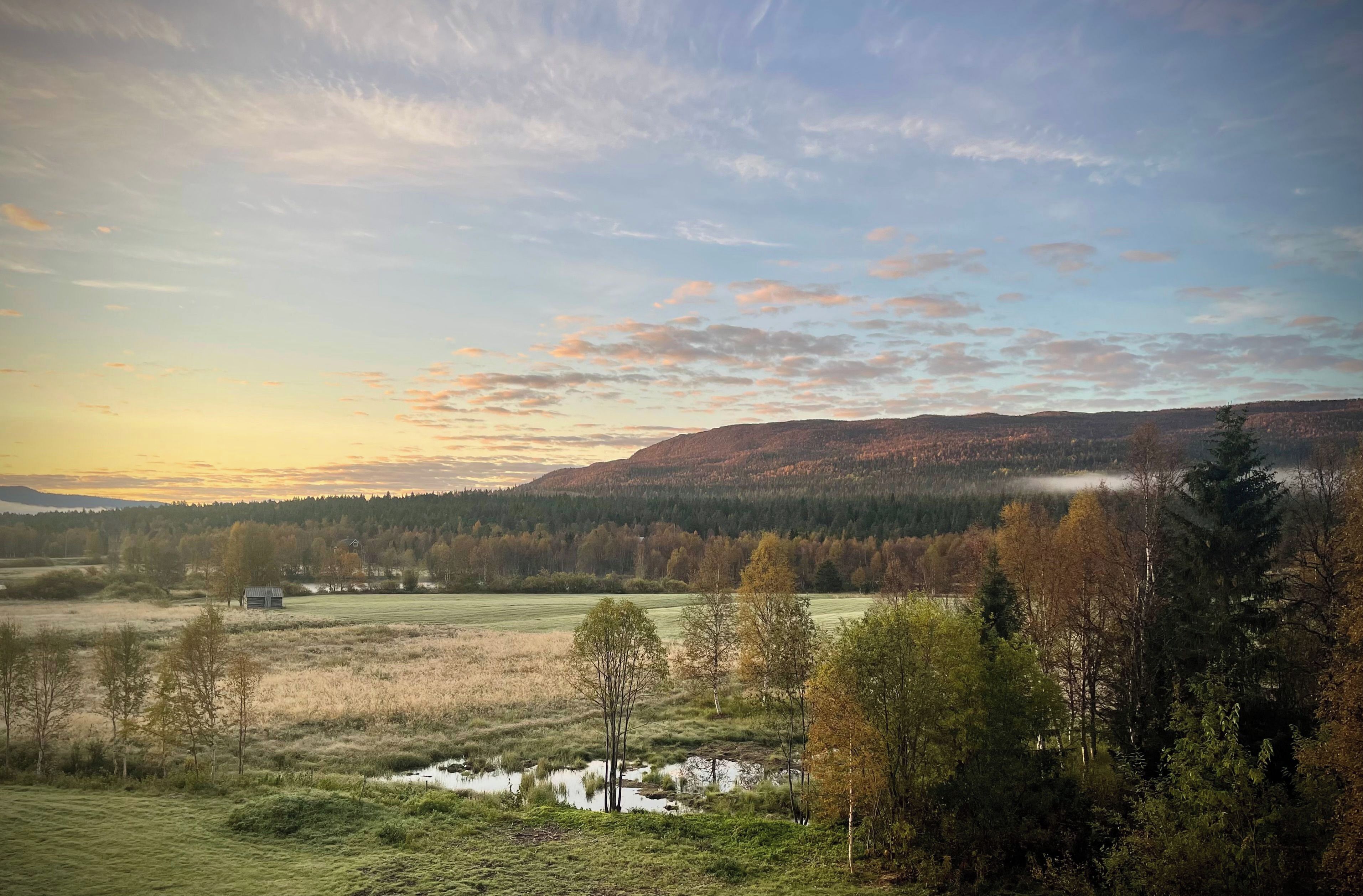 A landscape with a river, trees, and a hilly background.