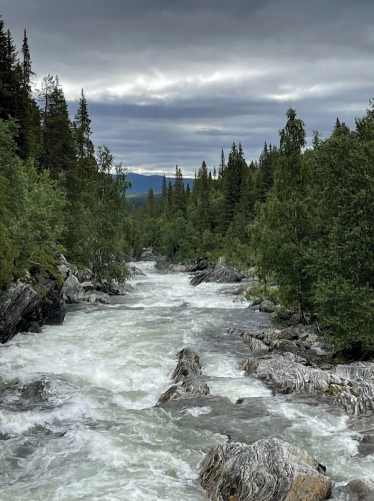 Ammarnäsgården fjällhotell och vandrarhem by null