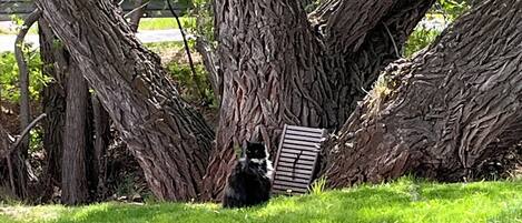 Enceinte de l’hébergement