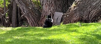 Charming 4-bedroom house with WiFi, AC in wonderful Sundance