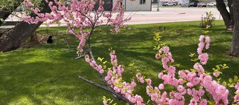 Charming 4-bedroom house with WiFi, AC in wonderful Sundance