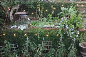 Garden - Green House (Playa Del Rey)