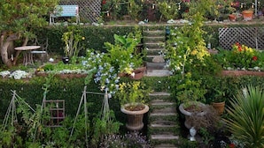 Garden - Green House (Playa Del Rey)