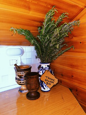 Détail de l’intérieur