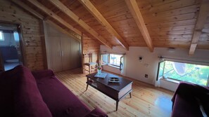 Smart TV, books, video library, stereo