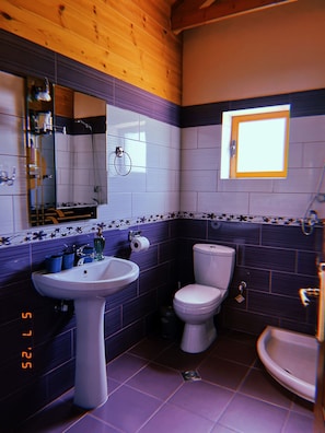 Shower, hair dryer, towels, toilet paper