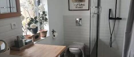 Regadera, toallas, jabón, papel de baño