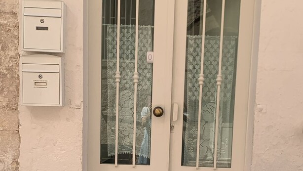Eine weiße Doppeltür mit Glasfeldern und einem kleinen Briefkasten an der Wand.