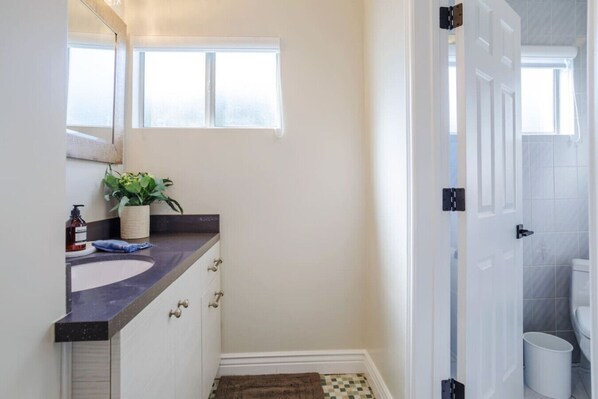 A bathroom with a white sink, a mirror, a potted plant, and a window.