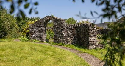 Poppy at Gorslwyd - Sound Retreat