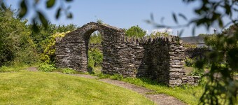 Poppy at Gorslwyd - Sound Retreat