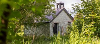 Hedgerow at Gorslwyd - Sound Retreat