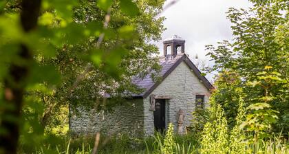 Hedgerow at Gorslwyd - Sound Retreat