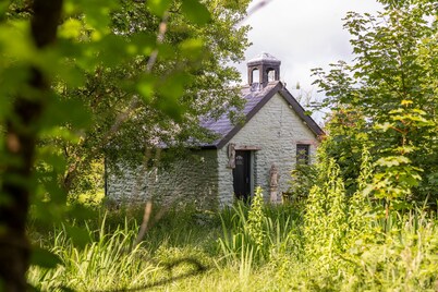 Hedgerow at Gorslwyd - Sound Retreat