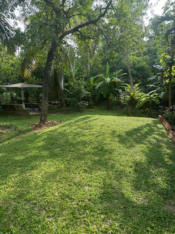 A lush garden with a grassy lawn, a wooden bench, and a covered seating area.