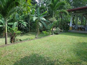 Garden - Airport Green Villa (Andiambalama)