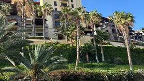 Un hotel de varios pisos con balcones, rodeado de palmeras y vegetación.