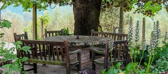 YogAyur Farm - Ficule